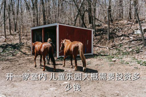 开一家室内 儿童乐园大概需要投资多少钱