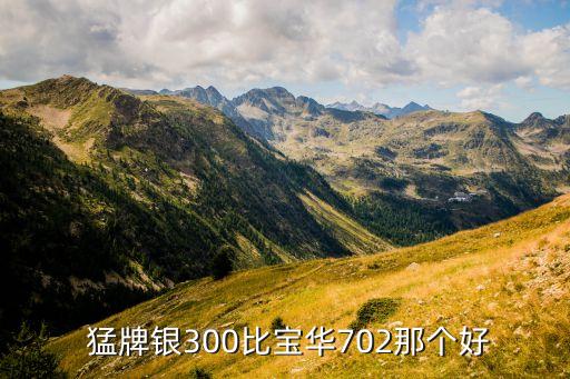  猛牌银300比宝华702那个好