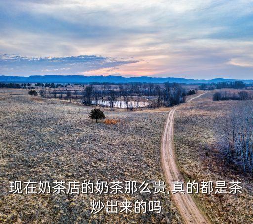 现在奶茶店的奶茶那么贵,真的都是茶炒出来的吗
