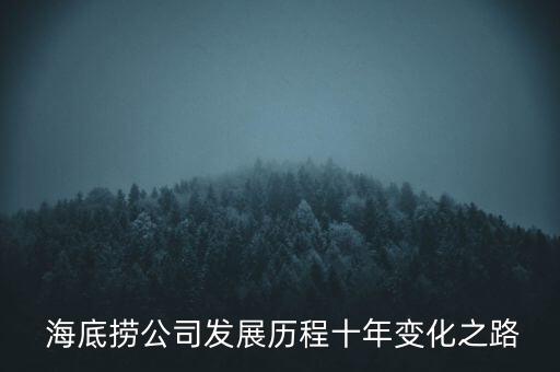  海底捞公司发展历程十年变化之路