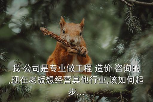 我 公司是专业做工程 造价 咨询的,现在老板想经营其他行业,该如何起步...
