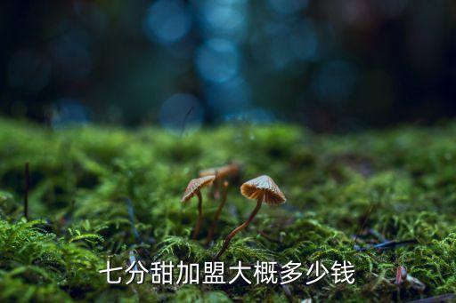 七分甜加盟大概多少钱