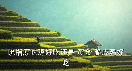 杭州黄金脆皮鸡加盟费多少