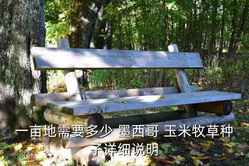 墨西哥玉米片加盟费用价格