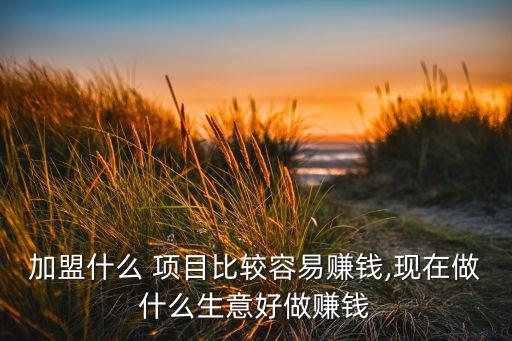 加盟什么 项目比较容易赚钱,现在做什么生意好做赚钱