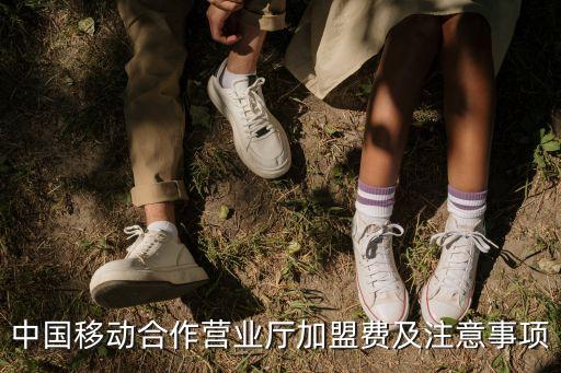 贵州移动别墅加盟费多少