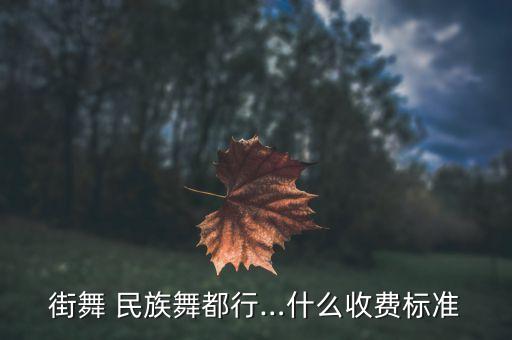 民族舞蹈加盟费多少,中国民间民族舞蹈一共多少级