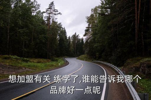 想加盟有关 练字了,谁能告诉我哪个品牌好一点呢
