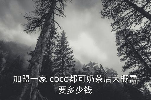 加盟一家 coco都可奶茶店大概需要多少钱
