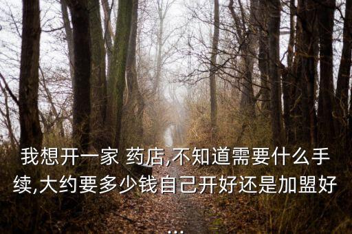 我想开一家 药店,不知道需要什么手续,大约要多少钱自己开好还是加盟好...