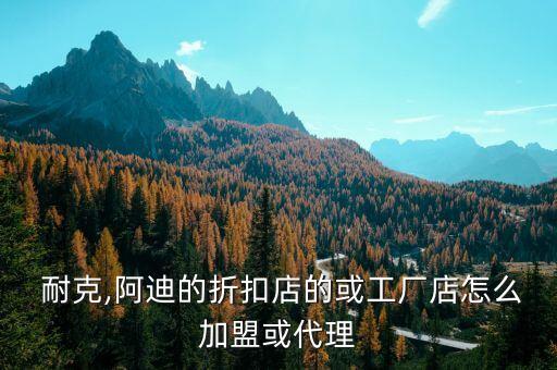 耐克,阿迪的折扣店的或工厂店怎么加盟或代理