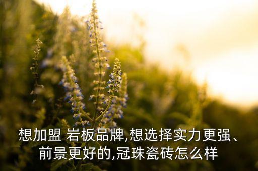 陕西岩板楼梯加盟费用