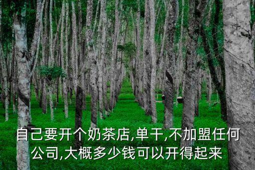 自己要开个奶茶店,单干,不加盟任何公司,大概多少钱可以开得起来