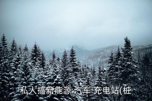 私人搞新能源 汽车 充电站(桩