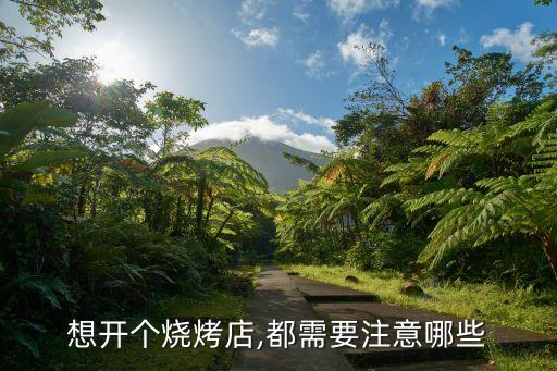 沈阳烤排骨加盟费用多少钱
