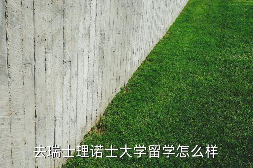 去瑞士理诺士大学留学怎么样