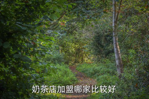 奶茶店加盟哪家比较好