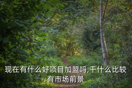 现在有什么好项目加盟吗,干什么比较有市场前景