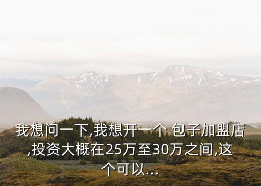 我想问一下,我想开一个 包子加盟店,投资大概在25万至30万之间,这个可以...