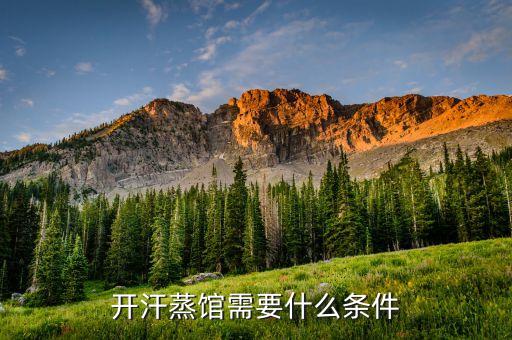 开汗蒸馆需要什么条件