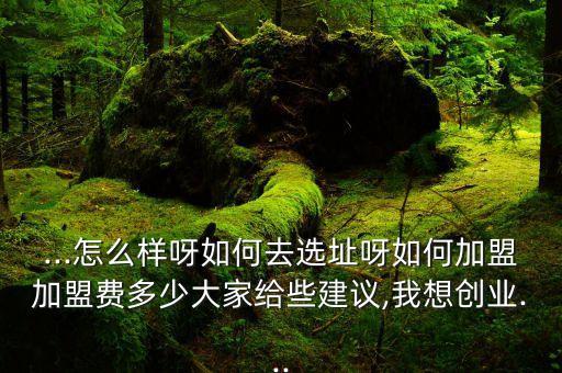 ...怎么样呀如何去选址呀如何加盟加盟费多少大家给些建议,我想创业...