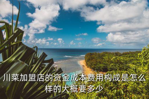 川菜加盟店的资金成本费用构成是怎么样的大概要多少
