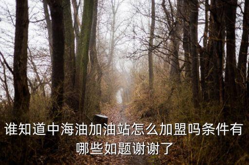 谁知道中海油加油站怎么加盟吗条件有哪些如题谢谢了