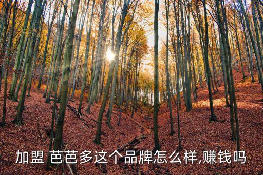加盟 芭芭多这个品牌怎么样,赚钱吗