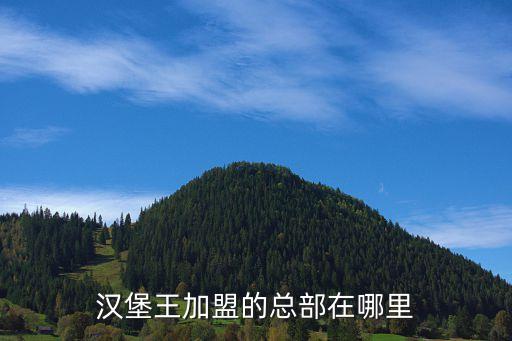汉堡王加盟的总部在哪里