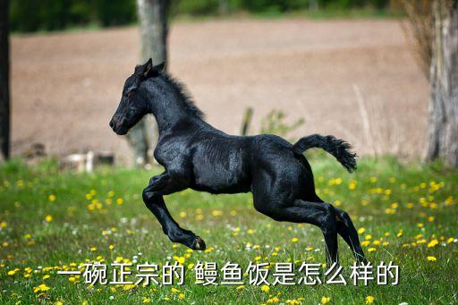 一碗正宗的 鳗鱼饭是怎么样的