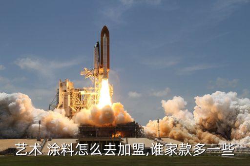 艺术 涂料怎么去加盟,谁家款多一些