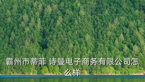 霸州市蒂菲 诗曼电子商务有限公司怎么样