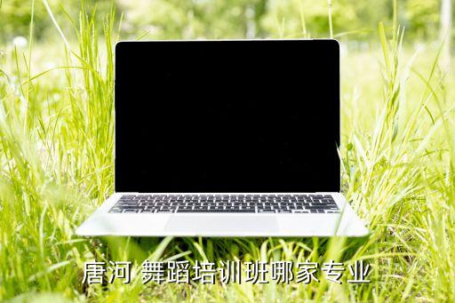 唐河 舞蹈培训班哪家专业