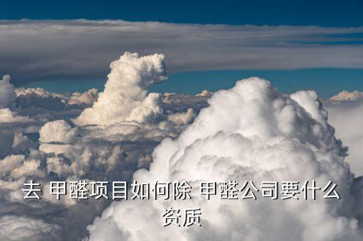 去 甲醛项目如何除 甲醛公司要什么资质