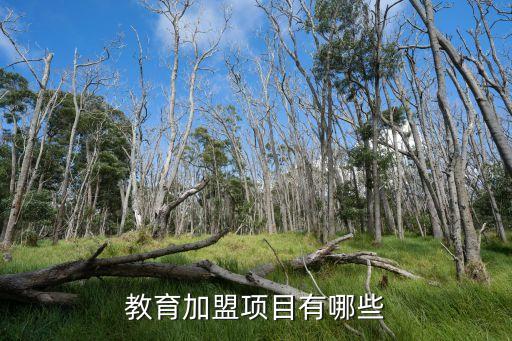 数学品牌加盟费用少,一点点加盟费用品牌