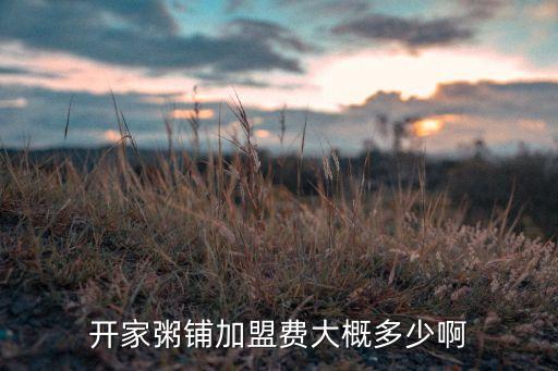 开家粥铺加盟费大概多少啊
