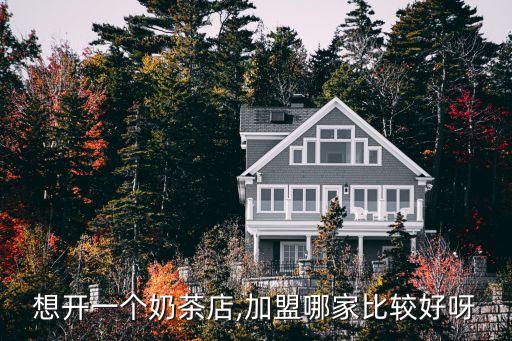 想开一个奶茶店,加盟哪家比较好呀