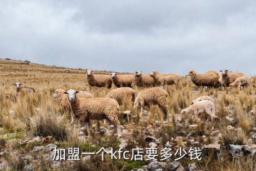 米淇林餐厅加盟费,米其林三星餐厅