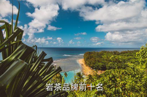  岩茶品牌前十名