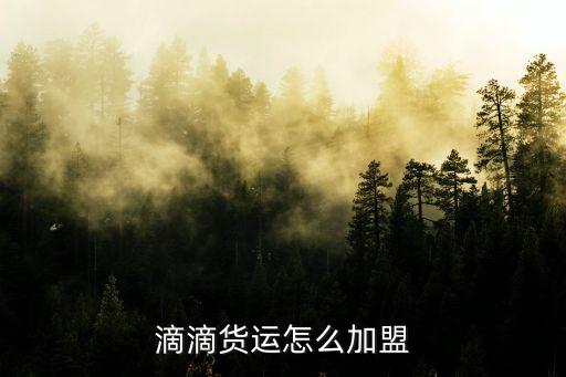 交加盟费的配送司机,绿色配送司机需要交押金不