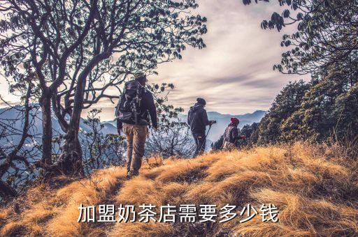 鲜言加盟费用是多少,好好鲜森加盟费用