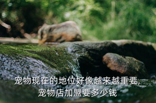 宠物现在的地位好像越来越重要, 宠物店加盟要多少钱