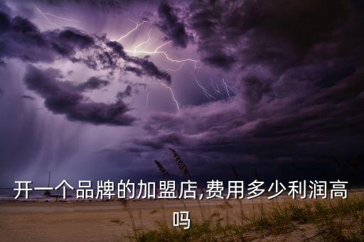 开一个品牌的加盟店,费用多少利润高吗
