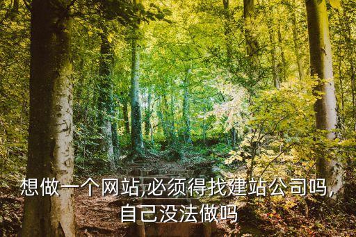 想做一个网站,必须得找建站公司吗,自己没法做吗