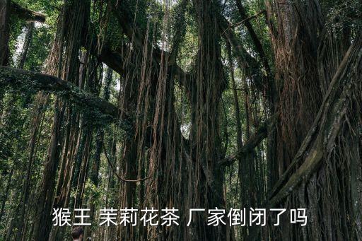 吉安茉莉花茶厂家加盟费