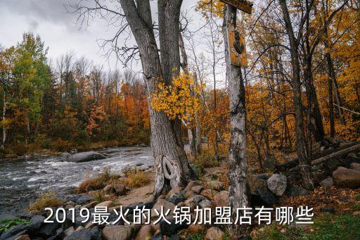 2019最火的火锅加盟店有哪些