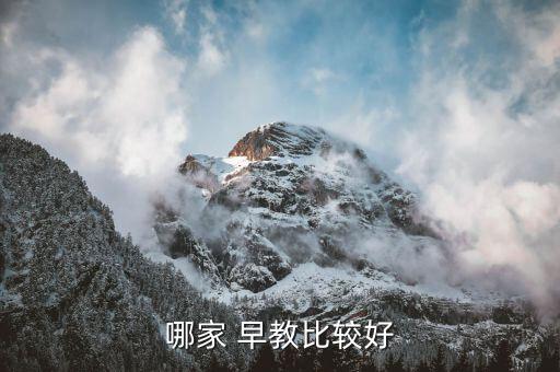 武汉比特易早教加盟费