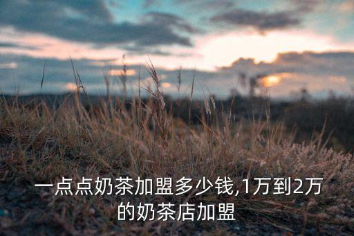一点味加盟费多少