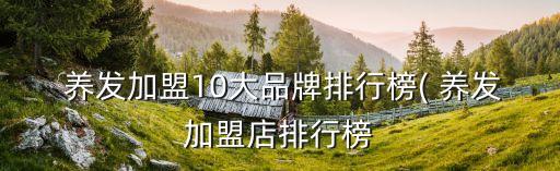  养发加盟10大品牌排行榜( 养发加盟店排行榜