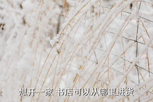 简帛书法书店加盟费用